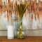 Dried Plant Bunny Tail Natural Foliage with Long Stems